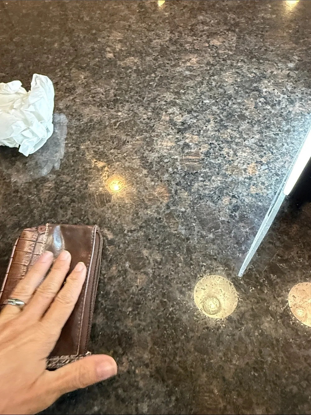Rosetti Two-Tone Brown Croc-Accent Leather Clutch